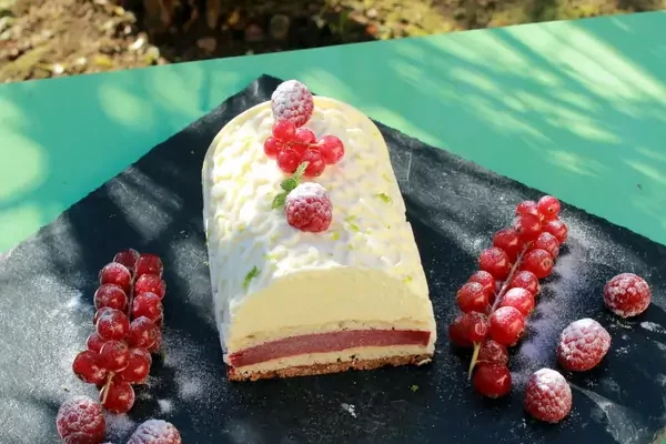 Bûche aux fruits rouges