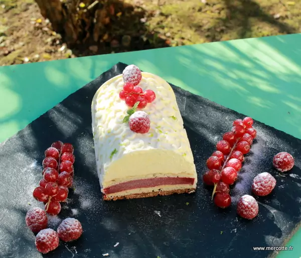 Bûche aux fruits rouges