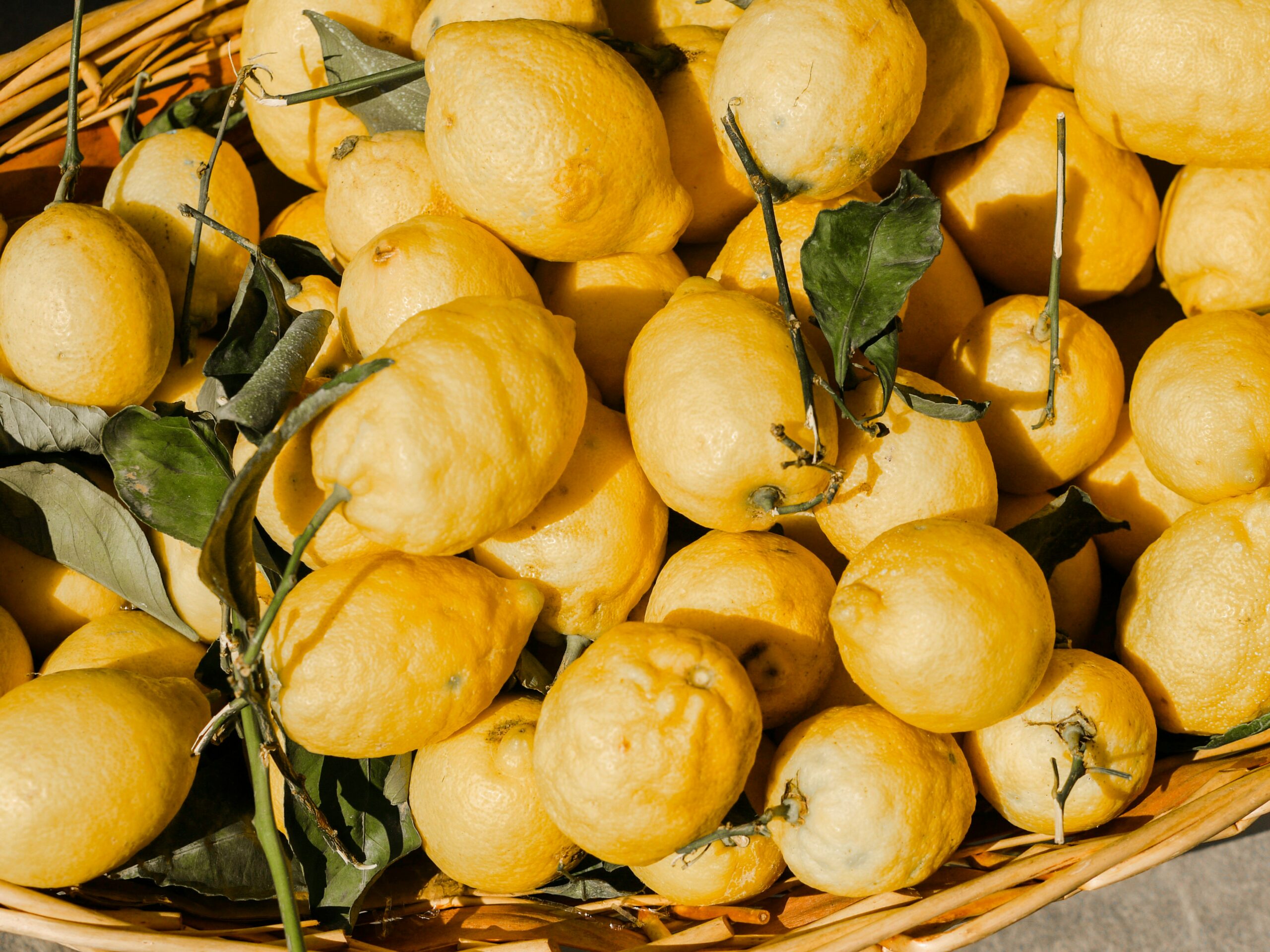 Cake au citron et aux graines de pavot