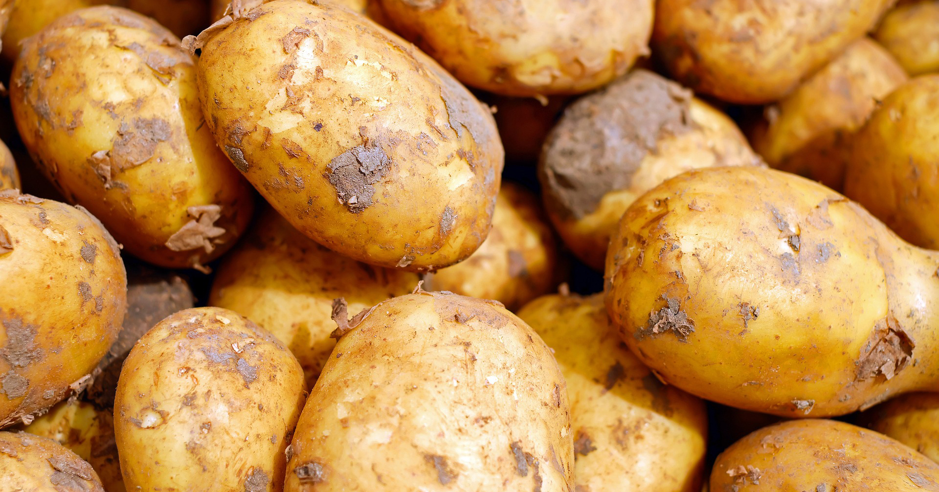 Pommes de terre rôties au four
