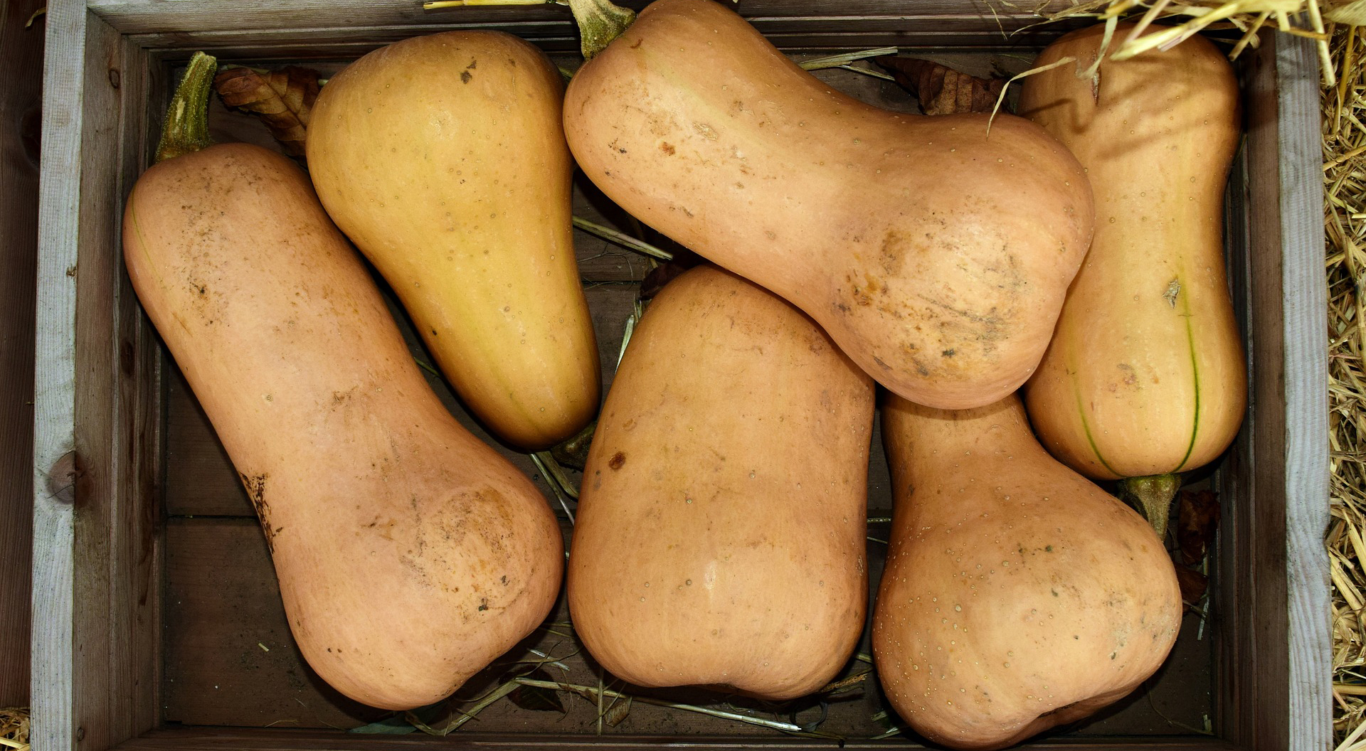 Potage au butternut
