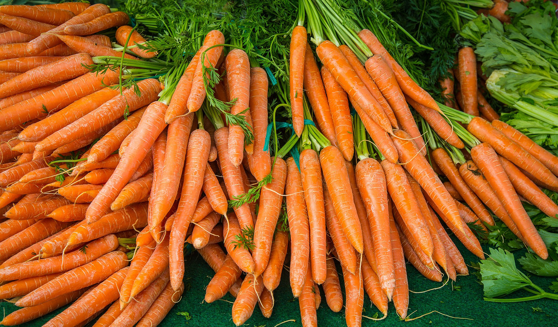 Soupe de carottes à l’orange et à la citronnelle
