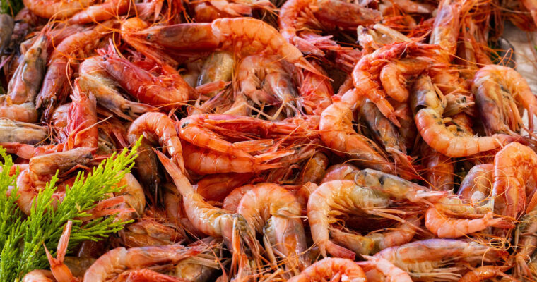 Salade de crevettes citronnées