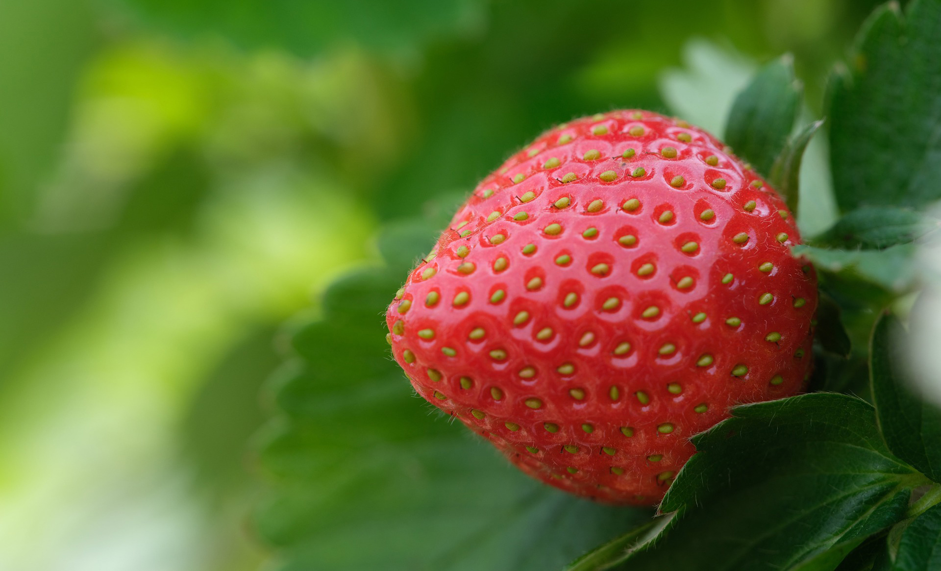 Merveilleux aux fraises et glace au lait d’amande