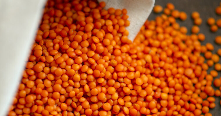 Dhal