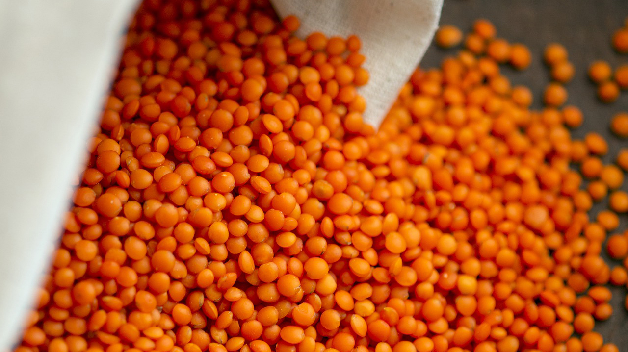 Dhal